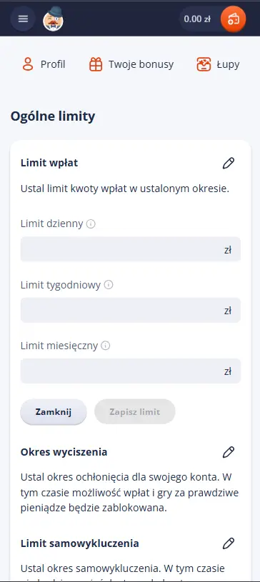 Ustawianie limitów Mr Bet